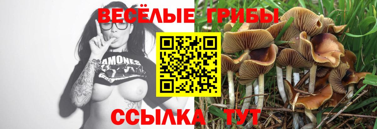Заводоуковск  Псилоцибиновые грибы Magic Shrooms  Вход с VPN 